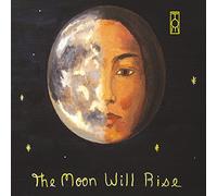 Doncourt, Tom - Moon Will Rise