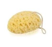 DONEGAL Brand sponges Ideal for Unisex Adult