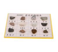 DONFAMDS 12 pcs Mineral Rock Specimen for Display and Collecting Educational Geology Classroom Tool with Diverse Stones and Crystals for Field Testing and Laboratory Use