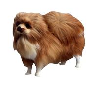 DONFAMDS Lifelike Pomeranian Model Solid Animal Figurine Vivid Dog Decor for Home Dorm Educational Inspiring Imagination and Learning