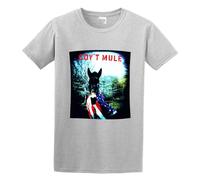 DONG-XIANG Gov't Mule Poster Universal take Out Tight Long Sleeves Atmosphere T-Shirt Gray XXL
