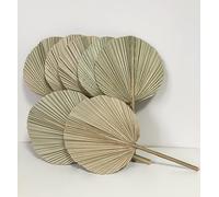 DongArts Tropical Dried Palm Fronds, Natural Round Shape Palm Fans Leaves for Boho Wedding Home Decor (7)