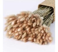 Donghome 120pcs 17" Bunny Tails Dried Flowers Brown Pampas Grass Natural Rabbit Tail Grass Dry Floral Arrangement for Boho Wedding Decor,Baby Birthday Party