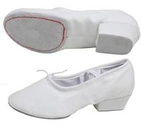 DONGLING Ballet Shoes Low-Heeled Canvas Teacher Practice Soft Ballroom Dance Shoes Salsa Tango Ballet Women for Slip(White,36)