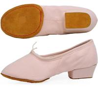 DONGLING Ballet Shoes Low-Heeled Canvas Teacher Practice Soft Ballroom Dance Shoes Salsa Tango Ballet Women for Slip(Pink,35)