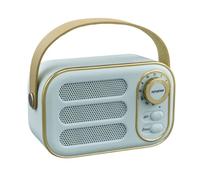 Doni Bomboniere 1 x Retro Portable Bluetooth Speaker Wireless Vintage Bluetooth 5.0 Stereo TWS USB TF Card AUX Mini Audio Speaker for Home Travel Party Gift (Light Blue)