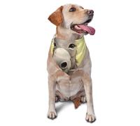Donkey and Flower Dog Bandana Pet Scarf Accessories for Small Medium Dogs Cats Photo Prop, Triangle Pet Bandanas Adjustable Puppy Bib Washable Dog Kerchief Puppy Neckerchief