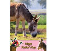 Donkey Animal Mothers Day Card