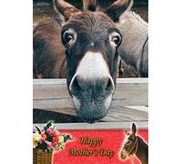 Donkey Animal Mothers Day Card