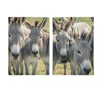 Donkey Animals Passport Holder Personalized Passport Wallet for Women Men Travel Document Organizer Holder