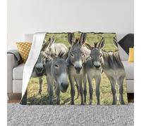 Donkey Animals Throw Blankets Flannel Blanket Warm Cozy Bed Blanket Lightweight Soft Blankets for Couch Sofa Bed Chair Home Decor 40"X30"