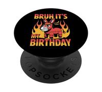 Donkey Bruh It's My Birthday Funny Angry Pinata Fire Meme PopSockets Adhesive PopGrip