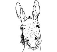 'Donkey Head' Rubber Stamp - Unmounted Design for Crafting & Scrapbooking, A7 (RS00037116)