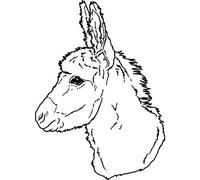'Donkey Head' Rubber Stamp - Unmounted Design for Crafting & Scrapbooking, A8 (RS00038305)