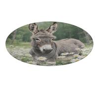 Donkey in Daisy Bush Round Area Rug Non Slip Backing Doormat Water Absorbent Plush Throw Low-Pile Non-Slip Floor Mat Carpet for Living Room Bedroom Entryway Nursery Room 90 * 90cm