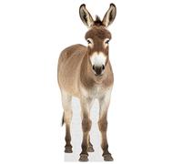 Donkey - Life Size Cardboard Cutout Standup People with Support Standee | Animals -