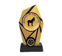 Donkey of the Week Black & Gold Trophy Award 200mm free Engraving-RS829
