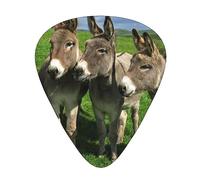 Donkey On Green Meadow Guitar Paddle 12 Pack Guitar Pickup Suitable For Playing Acoustic Guitars, Electric Guitars, Etc.