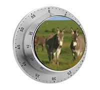 Donkey on Green Meadow Kitchen Timer with Magnetic Base Egg Timers for Hard Boiled Eggs 60-Minute Countdown Kitchen Clock for Cooking