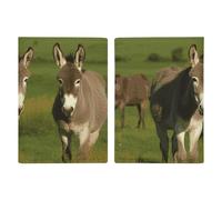 Donkey on Green Meadow Passport Holder, ID Card Protector Case Passport Holder with Slot Passports Travel Wallet Document Cover for Women And Men