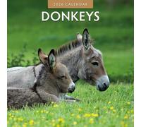 Donkeys - 2026 Square Wall Calendar - by Red Robin Publishing