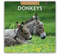 Donkeys 2026 Square Wall Calendar: Original Red Robin Publishing Ltd-Kalender [Mehrsprachig] [Kalender]