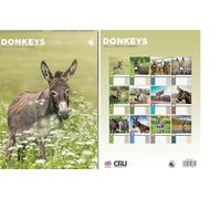 Donkeys 2026 Wall Calendar, A3 Size, 12-Month of Great Photography