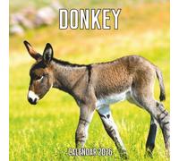 Donkeys Calendar 2026: 14-Month Organizer from Nov 2025 to Dec 2026 | Perfect for Home, Office, School & Family Scheduling, For Men , Women , Girls , Boys