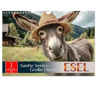 Donkeys - gentle souls, big ears UK-Version (Wall Calendar 2026 DIN A4 Landscape), CALVENDO 12 Month Wall Calendar