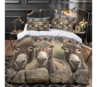 Donkeys in Row Comforter Cover 3D Design Printed Premium 3 Pcs Bedding Set Zipper Nature Wildlife Scene Duvet Cover Super Soft Breathable for Kids Girls Boys Adults Women Teens Double（200x200cm）