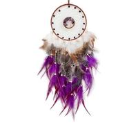 Donko Purple Dream Catcher Wall Decor Crystal Tree of Life Dream Catchers Handmade Feather Dreamcatcher Wall Hanging Ornament for Bedroom Living Room Home Decor