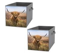 Donnapink 2 PCs Square Oxford Cloth Storage Basket Bin Foldable Organizer with Handles, Clothes Bucket Waterproof Laundry Hamper 10.6"x10.6"x10.6" Print Brown Scottish Highland Cow in Field