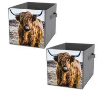 Donnapink 2 PCs Square PU Leather Storage Basket Bin Foldable Organizer with Handles, Clothes Bucket Waterproof Laundry Hamper 10.6"x10.6"x10.6" Print Earth-Yellow Scottish Highland Cow Vintage Style