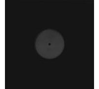 Donny McCaslin - KID [7" VINYL]