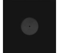 Donny McCaslin - KID [7" VINYL]