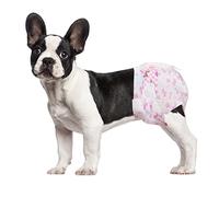 Dono Dog Nappies Female Disposable, Super Absorbent Doggie Nappies, Flash Dry Gel Technology Puppy Diapers, Leak-Proof Fit Cat Diapers for Doggy in Heat,Excitable Urination,Incontinence,Training,M