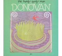 Donovan - barabajagal / hurdy gurdy man LP