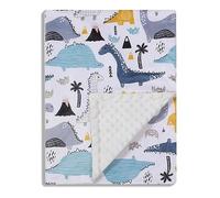 Donsonny Baby Blanket for Boys Girls Soft Minky with Double Layer Dotted Backing, Color Dinosaurs Printed 30 x 40 Inch Receiving Blanket…