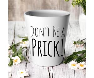 Don't Be A Prick! Plant Pot/Succulent Cactus Flower Pot/Funny Pot