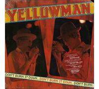 Don't Burn it Down [VINYL]