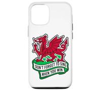 Don't Forget To Sing When You Win Banner Welsh Dragon Case for iPhone 12/12 Pro