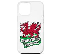 Don't Forget To Sing When You Win Banner Welsh Dragon Case for iPhone 12 Pro Max