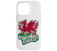 Don't Forget To Sing When You Win Banner Welsh Dragon Case for iPhone 14 Pro Max