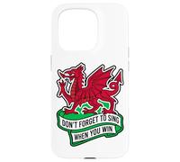 Don't Forget To Sing When You Win Banner Welsh Dragon Case for iPhone 15 Pro