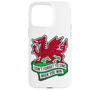 Don't Forget To Sing When You Win Banner Welsh Dragon Case for iPhone 15 Pro Max