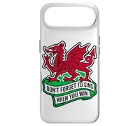 Don't Forget To Sing When You Win Banner Welsh Dragon Case for iPhone Air