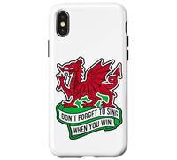 Don't Forget To Sing When You Win Banner Welsh Dragon Case for iPhone X/XS