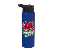 Don't Forget to Sing When You Win Banner Welsh Dragon Stainless Steel Insulated Water Bottle