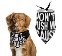 Don't Push Me Cause I'm Close to The Edge Pet Bandana Dogs Triangle Scarf Cats Handkerchief Puppy Costume