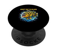 Dont Tap The Glass Funny Angry Cichlid Fish Aquarium PopSockets Adhesive PopGrip